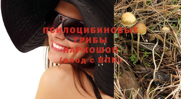 МДМА Новодвинск